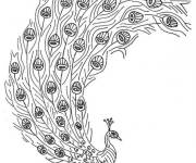 Coloriage Le paon et sa queue brillante