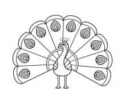 Coloriage Les paons, les beaux oiseaux