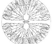 Coloriage Mandala de paon en forme de miroir