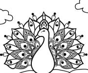 Coloriage Mandala paon plumages déstressant