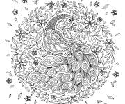 Coloriage Mandala paon pour adulte