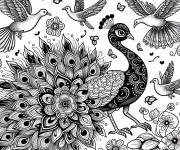 Coloriage et dessins gratuit Paon avec des pigeons à imprimer