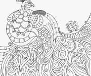 Coloriage Paon avec motifs sur la queue