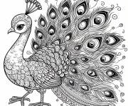 Coloriage et dessins gratuit Paon confiant à imprimer