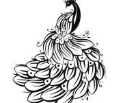 Coloriage Paon difficile en noir et blanc
