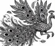 Coloriage et dessins gratuit Paon en volant à imprimer