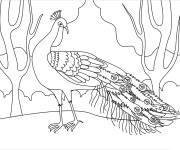 Coloriage Paon entre les arbres