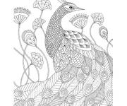Coloriage Paon et fleurs magiques adulte