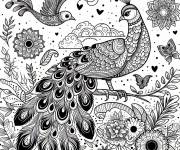 Coloriage et dessins gratuit Paon et oiseau zentangle à imprimer