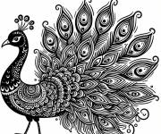 Coloriage Paon et ses plumes en noir