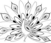 Coloriage Paon fond d'&eacute;cran