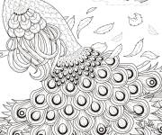 Coloriage Paon gracieux adulte