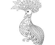 Coloriage Paon, l'oiseau majestueux