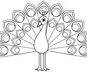 Coloriage Paon, le beau oiseau aux plumes magiques
