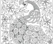 Coloriage Paon magique anti-stress