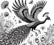 Coloriage Paon magistral qui vole 