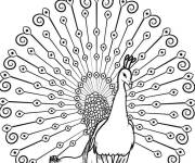 Coloriage Paon majestueux exhibant ses plumes