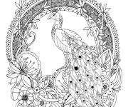 Coloriage Paon mandala complexe