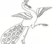 Coloriage Paon qui danse