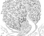 Coloriage Paon se d&eacute;ploie les plumes d&eacute;taill&eacute;
