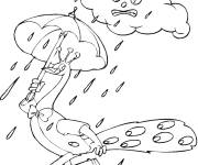 Coloriage Paon sous la pluie