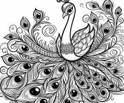 Coloriage Paon sur tapis de plumages