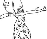 Coloriage Paon sur une branche d'arbre