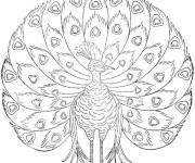 Coloriage Paon &oelig;uvre d&rsquo;art