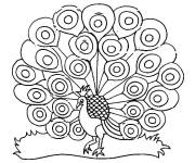 Coloriage Peacock facile