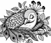 Coloriage Petit paon en dormant