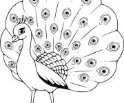 Coloriage Petit Paon facile