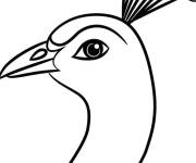 Coloriage Photo de paon facile en ligne