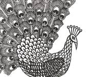 Coloriage Plumage difficile de paon