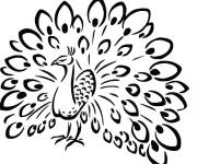 Coloriage Plumage fantastique de paon