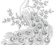 Coloriage Plumage oiseau paon &agrave; imprimer