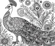 Coloriage Plumages de paon et des hautes fleurs en motifs
