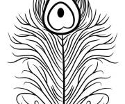 Coloriage Plume brillante de paon