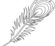 Coloriage Plume de paon en noir et blanc