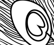 Coloriage Plume de paon zoom&eacute; en noir et blanc