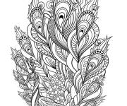 Coloriage Plumes zentangle d'un paon merveilleux