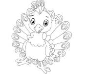 Coloriage Poussin de paon