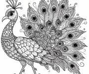 Coloriage Profile d'un paon en marchant