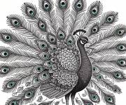Coloriage Profile de paon qui ouvre ses superbes plumes