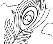 Coloriage Superbe plumes isol&eacute;e de paon