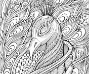 Coloriage T&ecirc;te d'un paon et ses magnifiques plumes