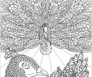 Coloriage Trois paons avec différents angles