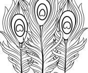 Coloriage Trois plumes d'un paon
