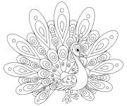 Coloriage Un beau paon