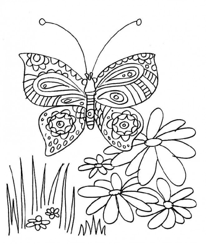 Dessins Gratuits à Colorier - Coloriage Papillon Maternelle à imprimer