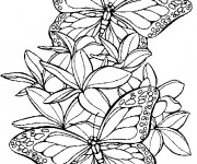 Coloriage et dessins gratuit Papillons en vol à imprimer